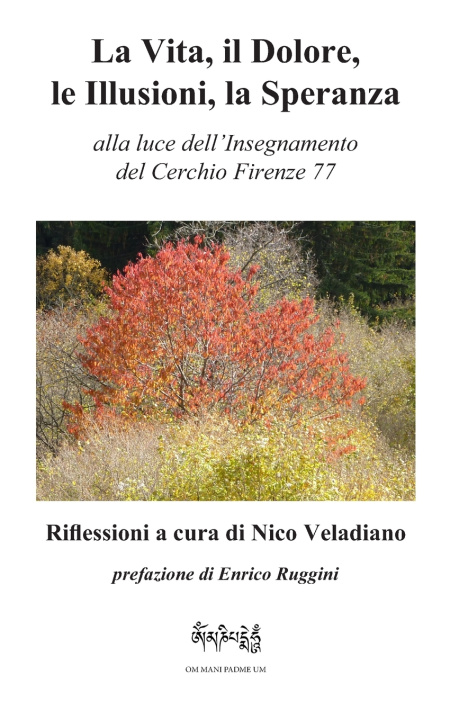 Kniha La Vita, Il Dolore, Le Illusioni, la Speranza Nico Veladiano