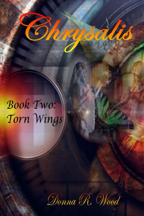 Kniha Torn Wings Donna R. Wood