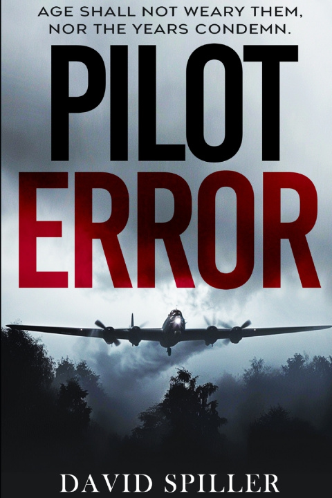 Knjiga Pilot Error David Spiller