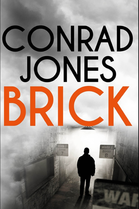 Kniha Brick Conrad Jones