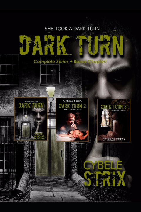 Kniha Dark Turn Cybele Strix