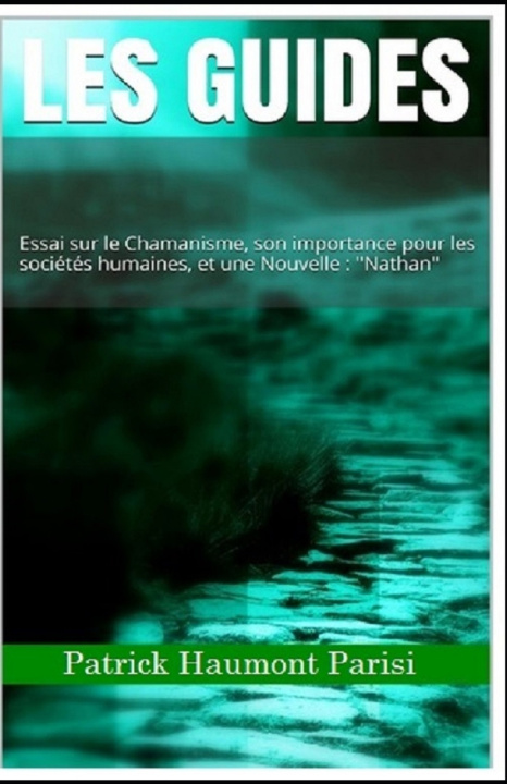 Kniha LES GUIDES Patrick Haumont Parisi