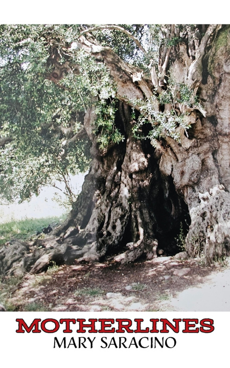 Boek Motherlines Mary Saracino