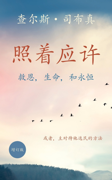 Książka 照着应许 查尔斯 司布真
