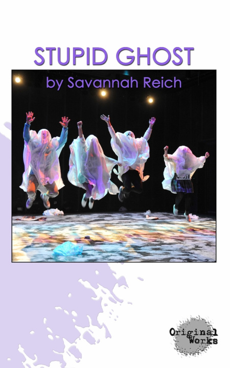 Kniha Stupid Ghost Savannah Reich
