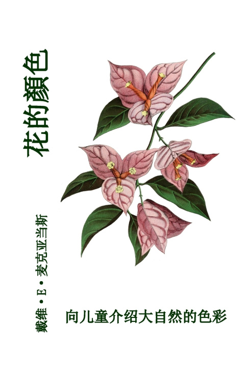 Kniha 花的顏色 David E. McAdams