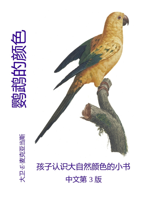 Buch 鹦鹉的颜色 David E. McAdams