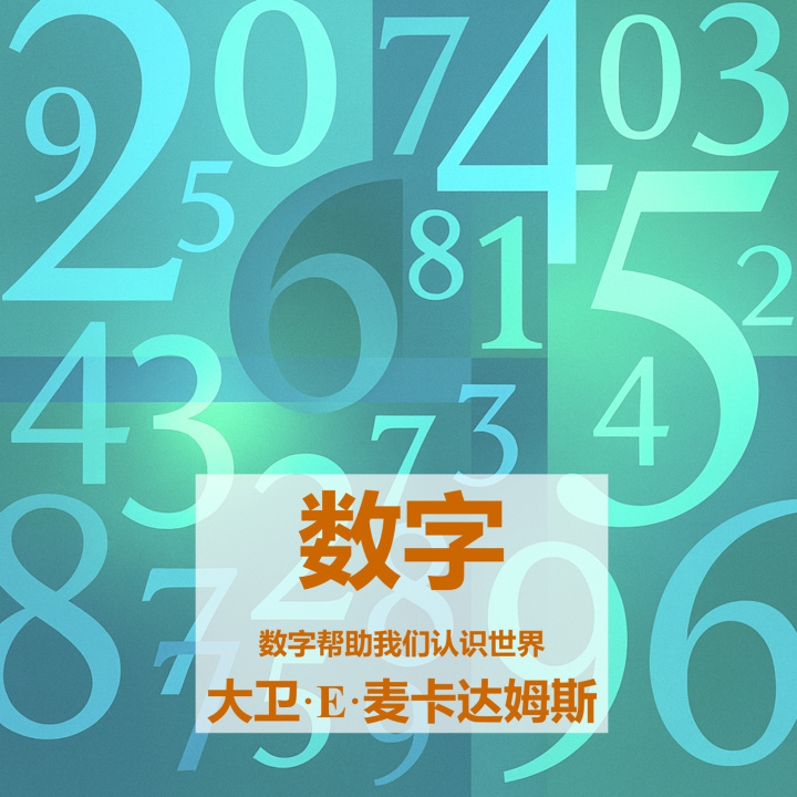 Buch 数字 David E. McAdams