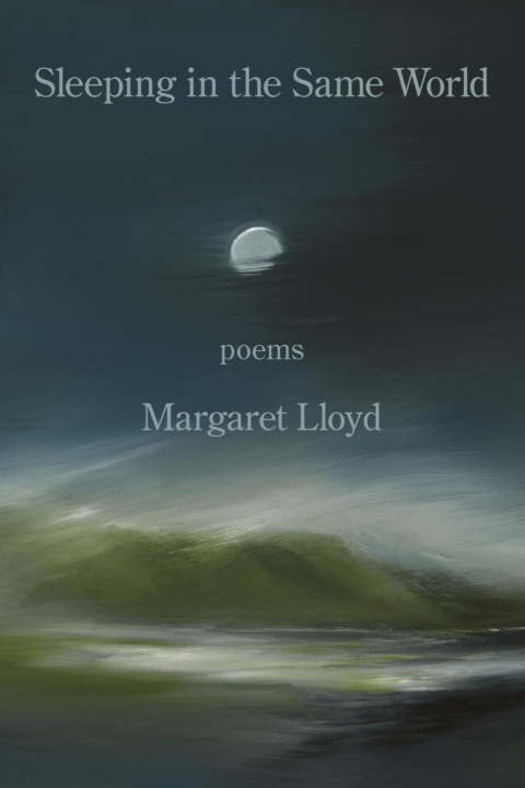 Knjiga Sleeping in the Same World Margaret Lloyd