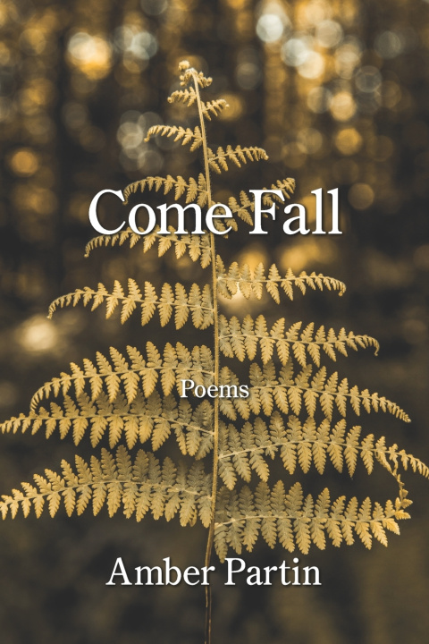 Книга Come Fall Amber Partin