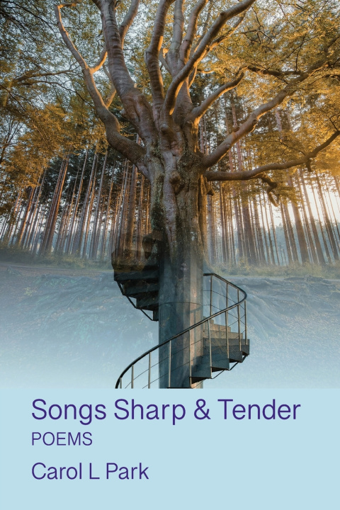 Knjiga Songs Sharp & Tender Carol L Park