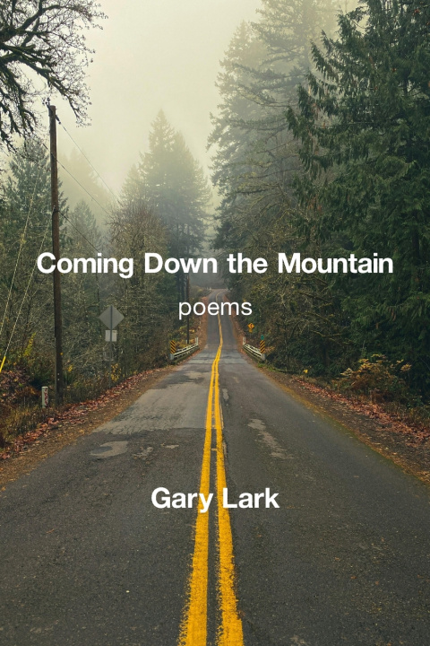 Kniha Coming down the Mountain Gary Lark