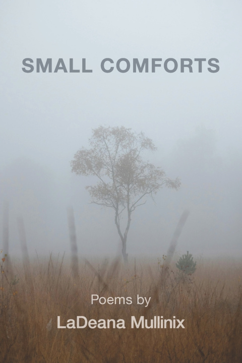 Kniha Small Comforts LaDeana Mullinix