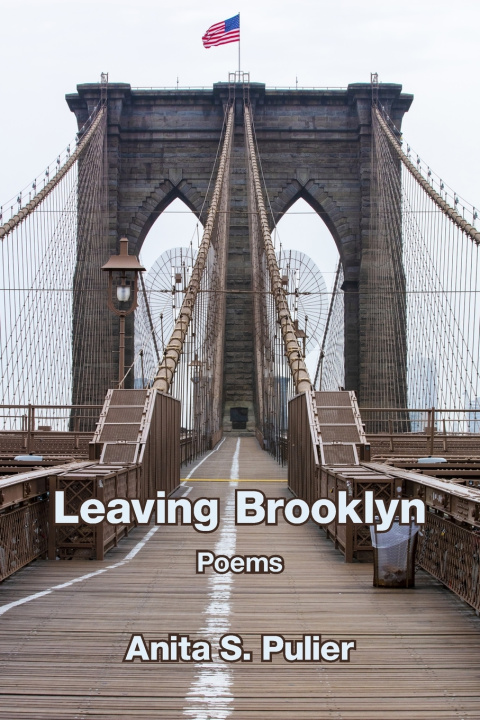 Kniha Leaving Brooklyn Anita S. Pulier