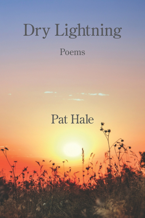 Kniha Dry Lightning Pat Hale