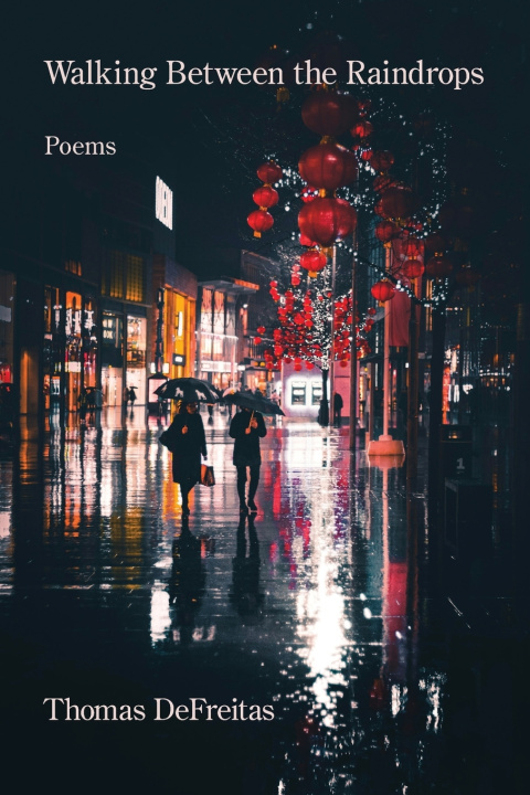 Kniha Walking Between the Raindrops Thomas DeFreitas