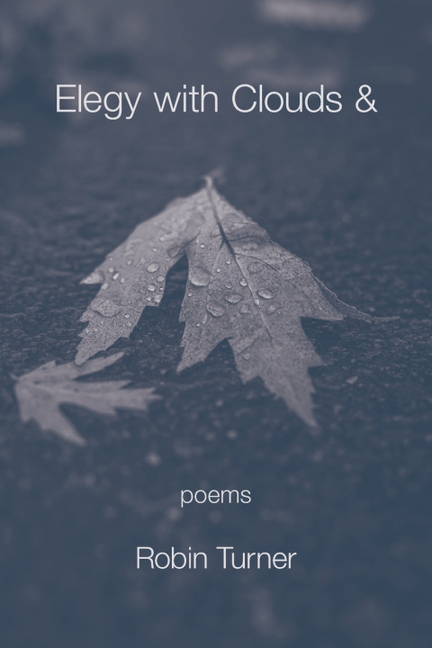 Книга Elegy with Clouds & Robin Turner
