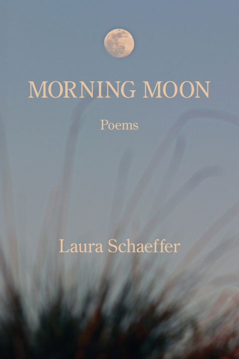 Книга Morning Moon Schaeffer