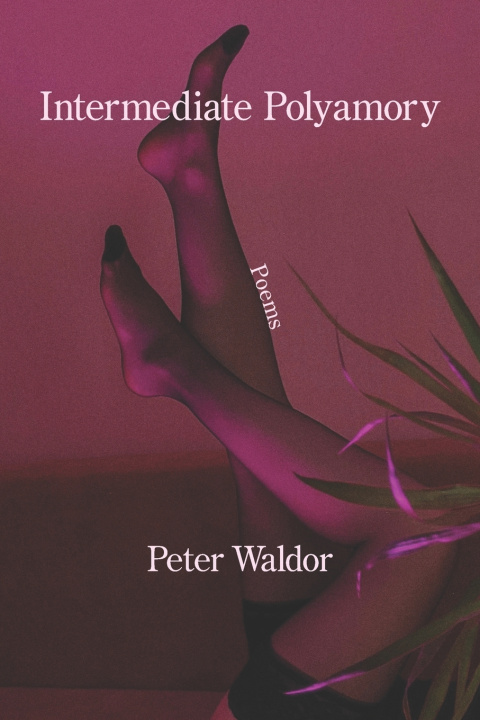 Kniha Intermediate Polyamory Peter Waldor