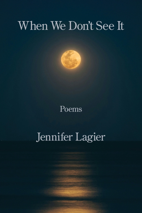 Kniha When We Don't See It Jennifer Lagier