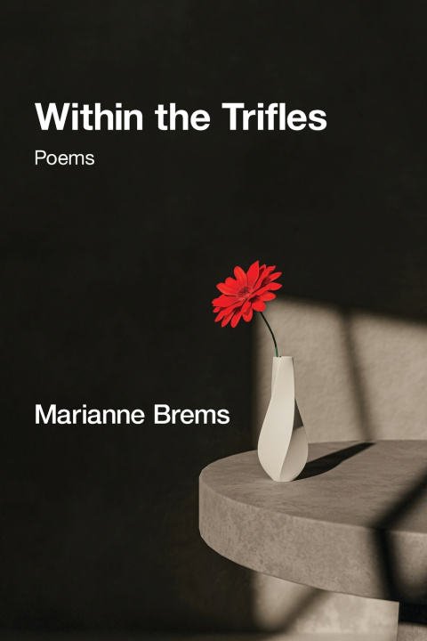 Knjiga Within the Trifles Marianne Brems
