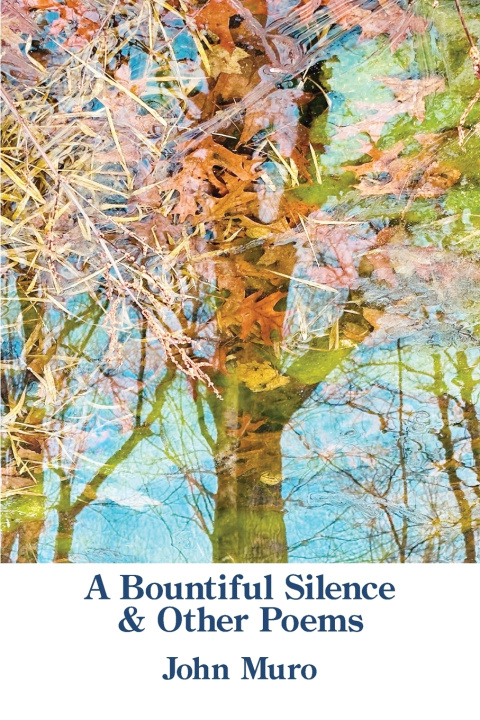 Boek A Bountiful Silence John Muro