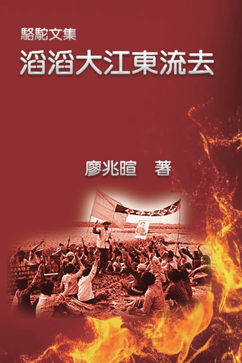 Buch 駱駝文集：滔滔大江東流去 Zhaoxuan Liao