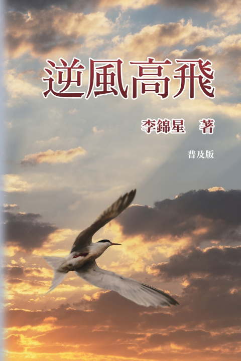 Libro 逆風高飛 Lawrence Lee