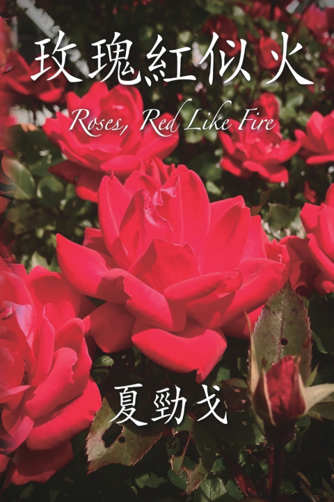 Kniha 玫瑰紅似火 Jack Jinn-Goe Hsia