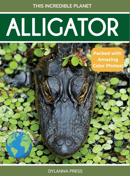 Kniha Alligator Dylanna Press