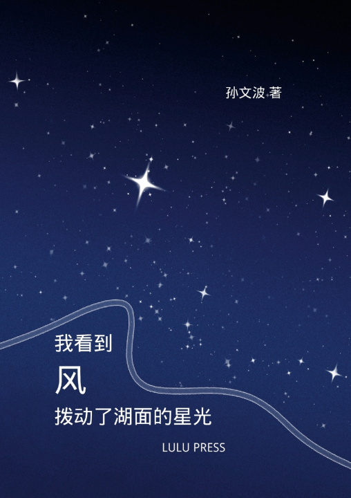 Kniha 《我看到风， 拨动了湖面的星光》 Wenbo Sun