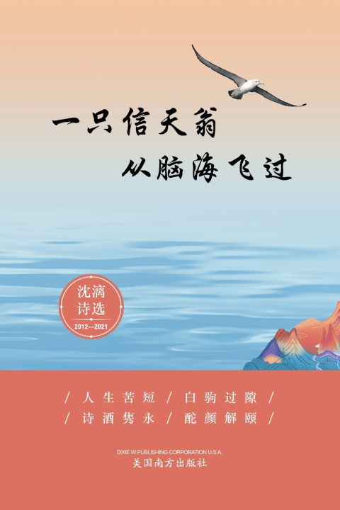 Knjiga 一只信天翁从脑海飞过 Xiaobu Sun