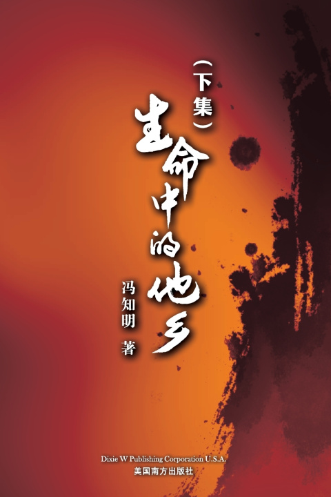 Kniha 生命中的他乡 (下卷） Zhiming Feng