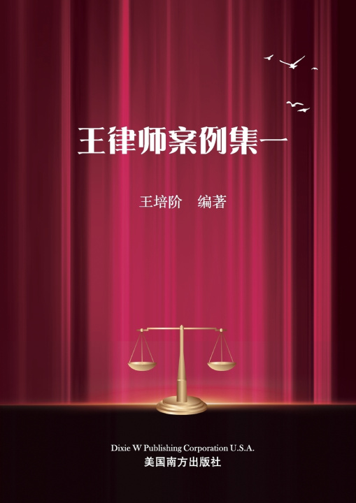 Knjiga 王律师案例集一 Peijie Wang