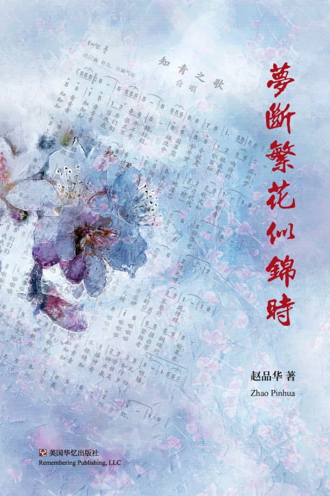 Kniha 梦断繁花似锦时 品华 赵