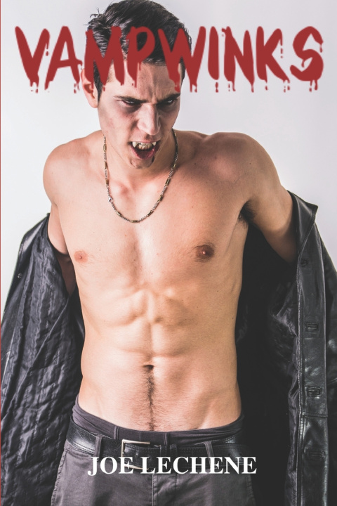 Kniha Vampwinks Joe Lechene