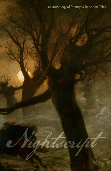 Kniha Nightscript Volume 5 C.M. Muller