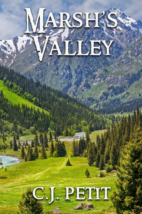 Knjiga Marsh's Valley C.J. Petit