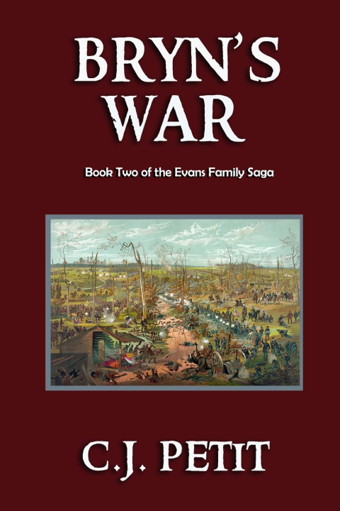 Kniha Bryn's War C.J. Petit