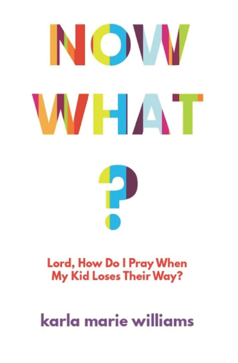 Книга Now What? Karla Marie Williams