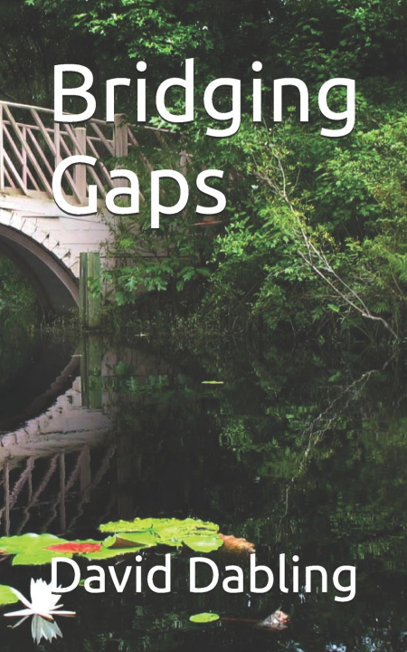 Kniha Bridging Gaps David Dabling