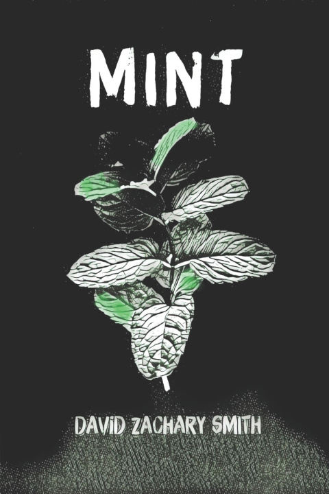 Kniha MINT David Zachary Smith