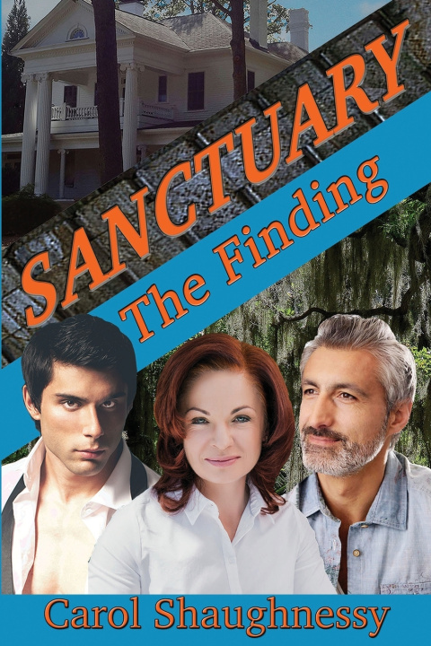 Книга The Finding Carol Shaughnessy