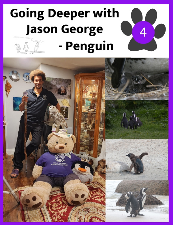 Knjiga Penguins - Going Deeper with Jason George Jason A. George