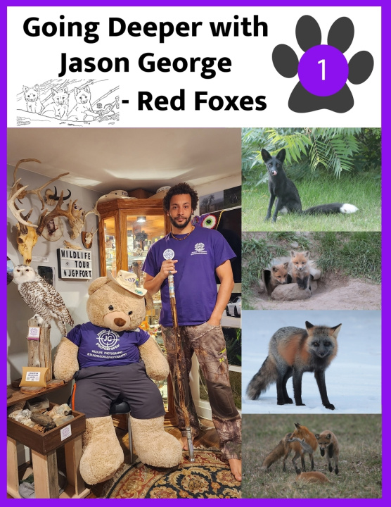 Kniha Going Deeper with Jason George - Red Foxes Jason A George