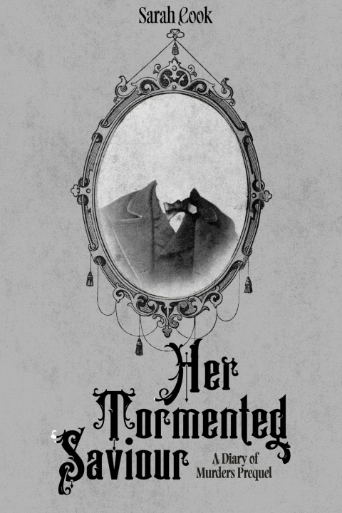 Kniha Her Tormented Saviour Sarah Cook