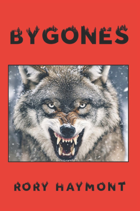 Kniha Bygones Rory Haymont
