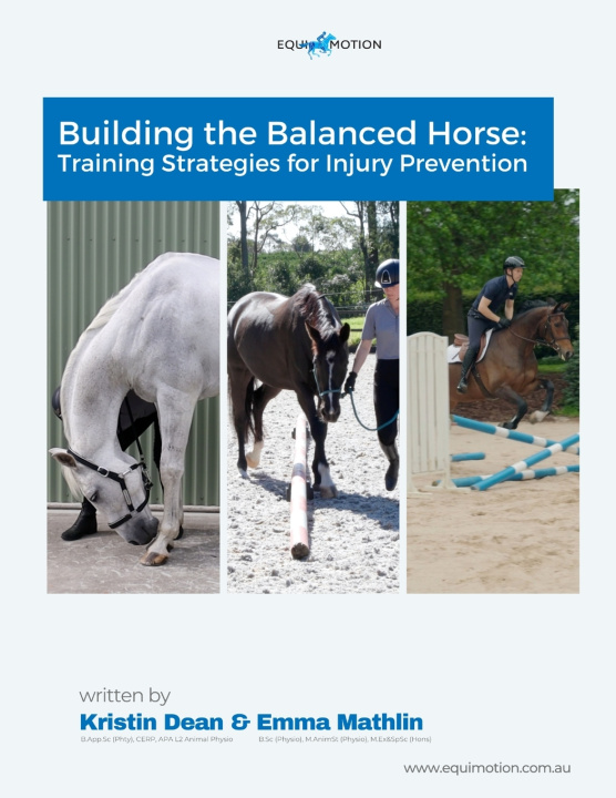 Buch Building The Balanced Horse Kristin Dean