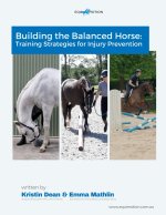 Building The Balanced Horse