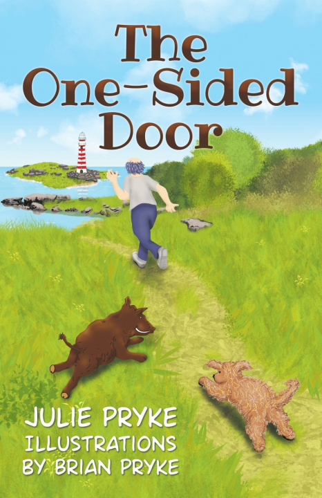 Boek The One-Sided Door Julie Pryke